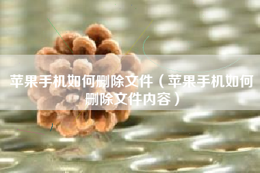 苹果手机如何删除文件（苹果手机如何删除文件内容）
