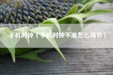 手机时钟（手机时钟不准怎么调节）