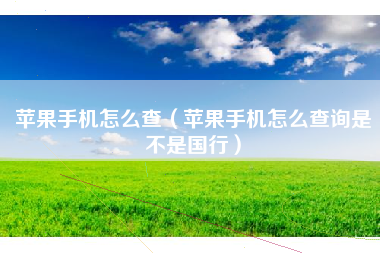 苹果手机怎么查（苹果手机怎么查询是不是国行）