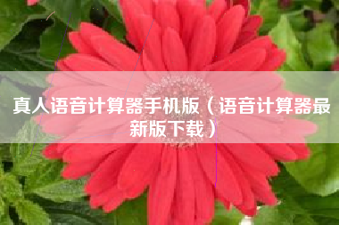 真人语音计算器手机版（语音计算器最新版下载）