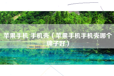 苹果手机 手机壳（苹果手机手机壳哪个牌子好）