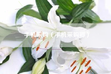 手机采购（手机采购卿）