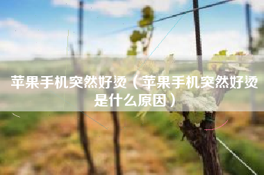 苹果手机突然好烫（苹果手机突然好烫是什么原因）