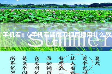 手机看H（手机看湖南卫视直播用什么软件）