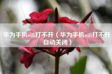 华为手机wifi打不开（华为手机wifi打不开自动关闭）