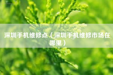 深圳手机维修点（深圳手机维修市场在哪里）