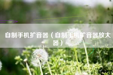 自制手机扩音器（自制手机扩音器放大器）