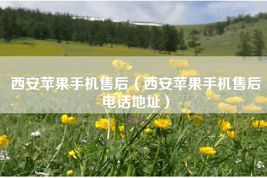 西安苹果手机售后（西安苹果手机售后电话地址）