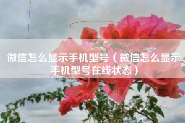 微信怎么显示手机型号（微信怎么显示手机型号在线状态）