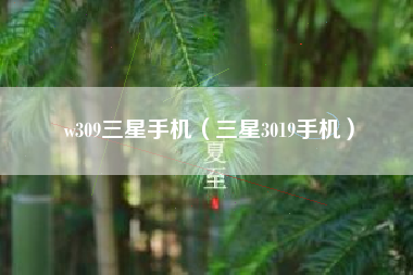 w309三星手机（三星3019手机）