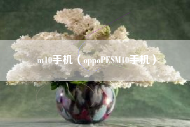 m10手机（oppoPESM10手机）