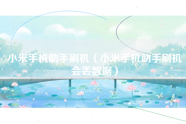小米手机助手刷机（小米手机助手刷机会丢数据）