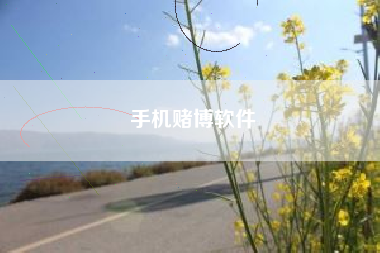 手机赌博软件