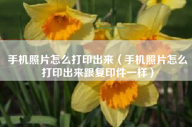 手机照片怎么打印出来（手机照片怎么打印出来跟复印件一样）