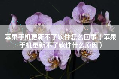 苹果手机更新不了软件怎么回事（苹果手机更新不了软件什么原因）
