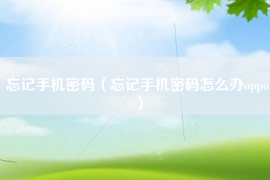 忘记手机密码（忘记手机密码怎么办oppo）