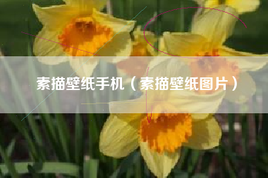 素描壁纸手机（素描壁纸图片）