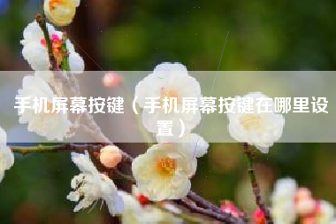 手机屏幕按键（手机屏幕按键在哪里设置）