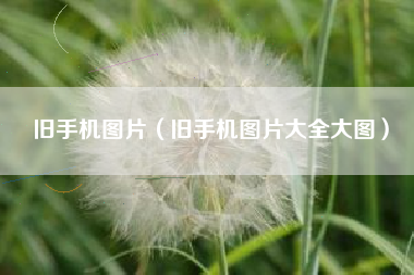 旧手机图片（旧手机图片大全大图）