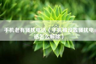 手机老有骚扰电话（手机被设置骚扰电话怎么解除）