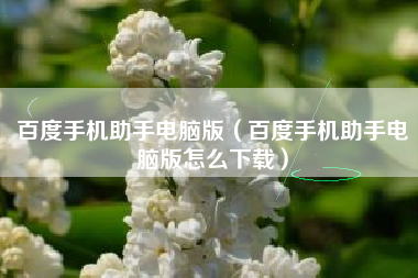 百度手机助手电脑版（百度手机助手电脑版怎么下载）