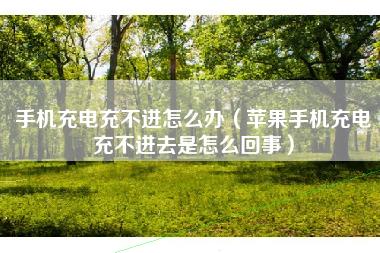 手机充电充不进怎么办（苹果手机充电充不进去是怎么回事）
