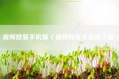 视频修复手机版（视频修复手机版下载）