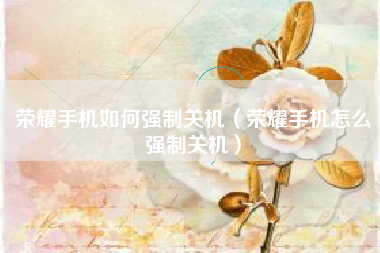 荣耀手机如何强制关机（荣耀手机怎么强制关机）