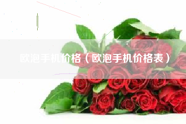 欧泡手机价格（欧泡手机价格表）