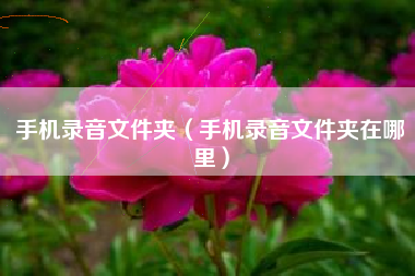手机录音文件夹（手机录音文件夹在哪里）