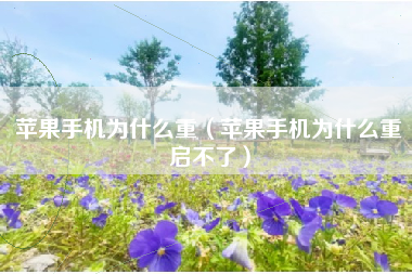 苹果手机为什么重（苹果手机为什么重启不了）