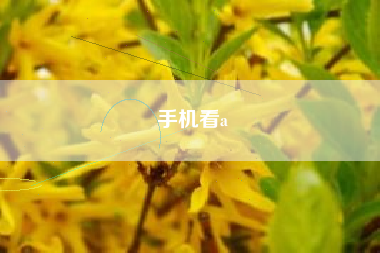 手机看a