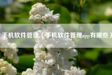 手机软件管理（手机软件管理app有哪些）