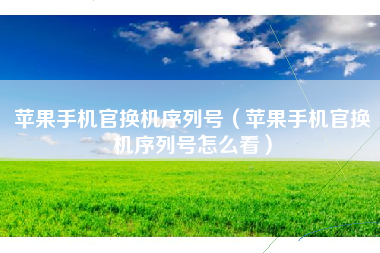 苹果手机官换机序列号（苹果手机官换机序列号怎么看）