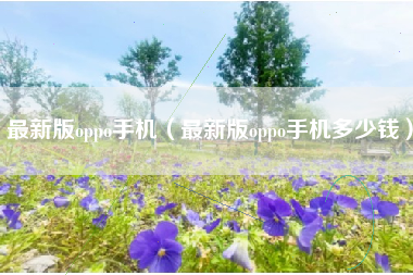 最新版oppo手机（最新版oppo手机多少钱）