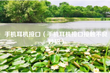手机耳机接口（手机耳机接口接触不良妙招）