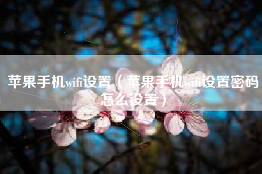 苹果手机wifi设置（苹果手机wifi设置密码怎么设置）