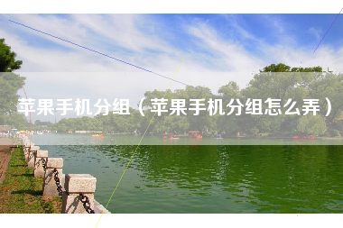 苹果手机分组（苹果手机分组怎么弄）