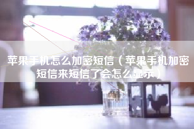 苹果手机怎么加密短信（苹果手机加密短信来短信了会怎么显示）
