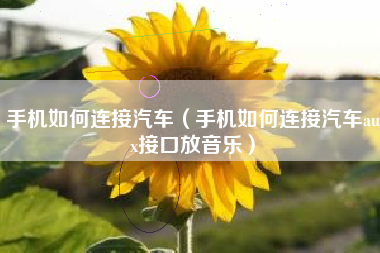 手机如何连接汽车（手机如何连接汽车aux接口放音乐）