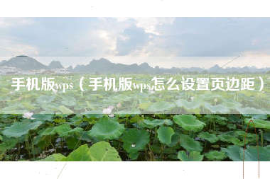 手机版wps（手机版wps怎么设置页边距）