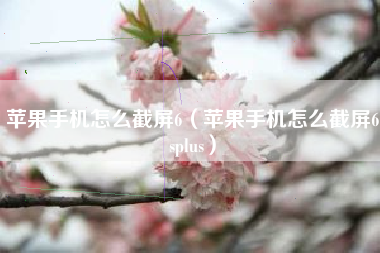 苹果手机怎么截屏6（苹果手机怎么截屏6splus）