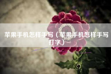 苹果手机怎样手写（苹果手机怎样手写打字）