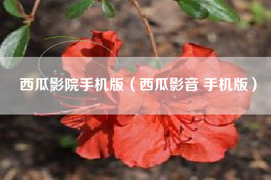 西瓜影院手机版（西瓜影音 手机版）
