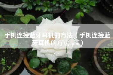 手机连接蓝牙耳机的方法（手机连接蓝牙耳机的方法oppo）