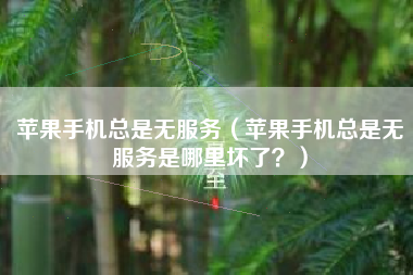 苹果手机总是无服务（苹果手机总是无服务是哪里坏了？）