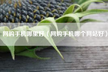 网购手机哪里好（网购手机哪个网站好）