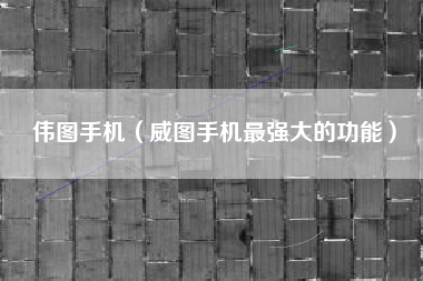伟图手机（威图手机最强大的功能）
