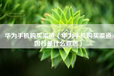 华为手机购买渠道（华为手机购买渠道国行是什么意思）