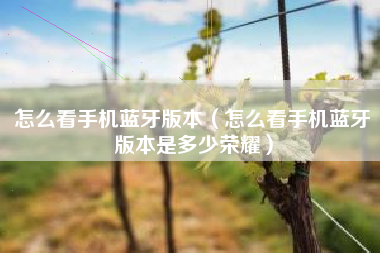 怎么看手机蓝牙版本（怎么看手机蓝牙版本是多少荣耀）